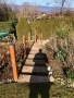 LG-2020-IMG_1249