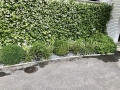 LG-2020-IMG_1428