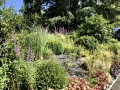 LG-2020-IMG_1480