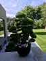 LG-2020-IMG_8372