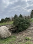 LG-202302-IMG_5110