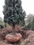 LG-202302-IMG_5117