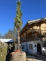 LG-202302-IMG_5135