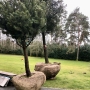LG-plsp-202101-IMG_2660